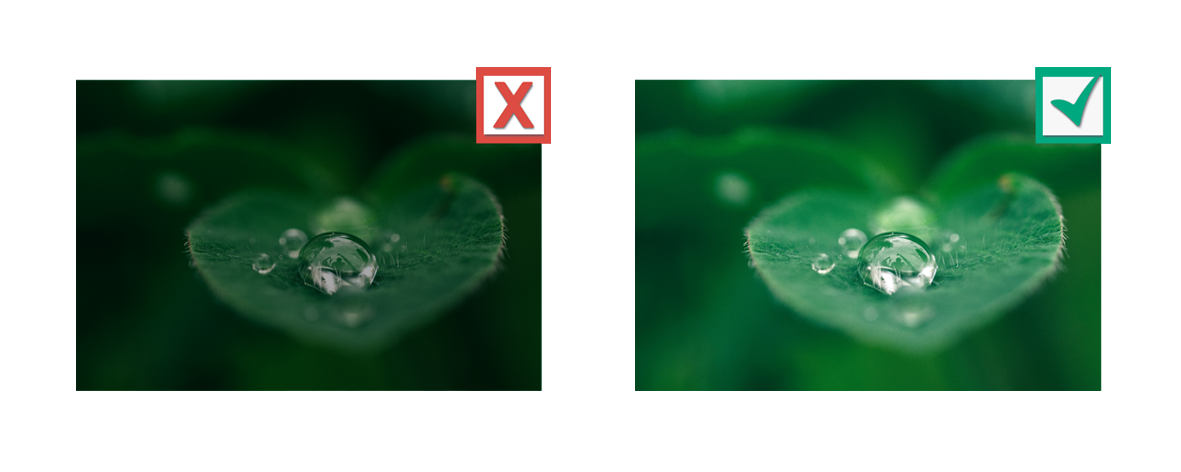 Helligkeit der Bilder ist ausschlaggebend