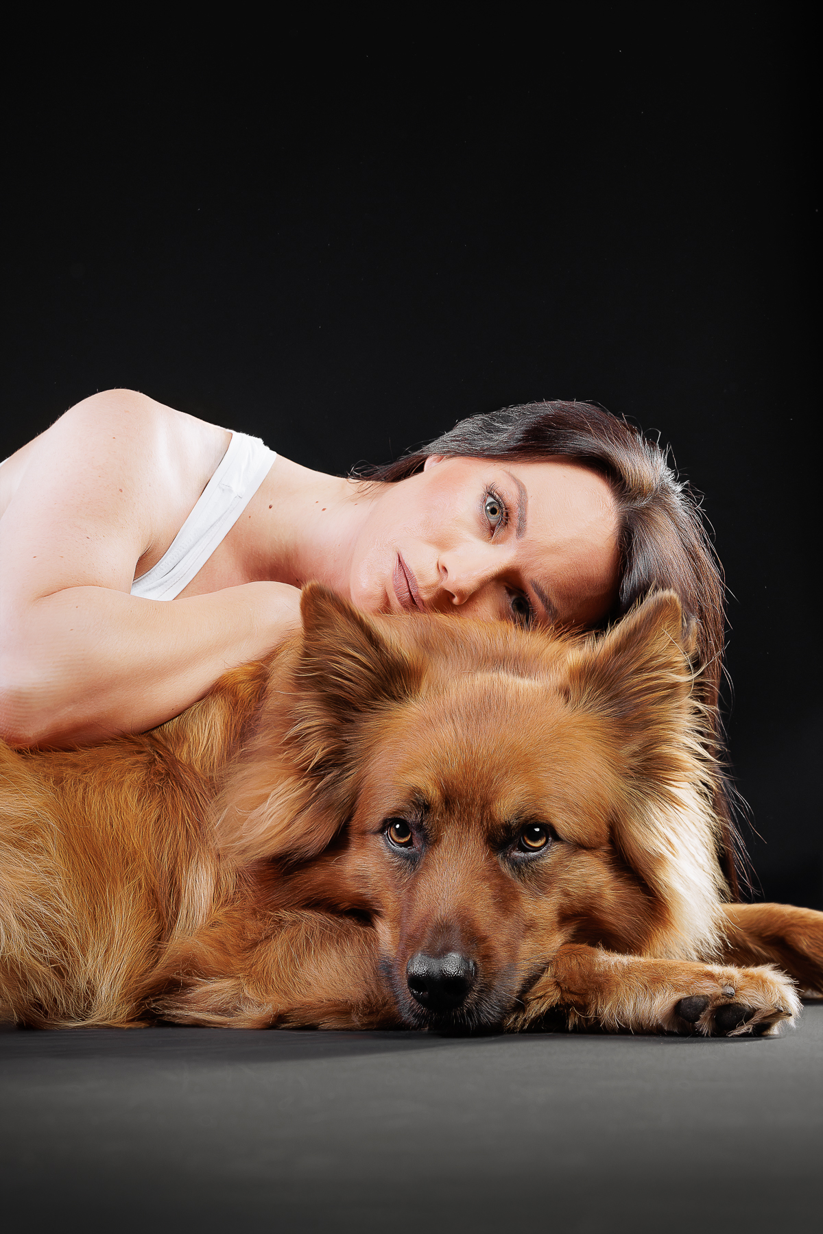 Hundefoto 1
