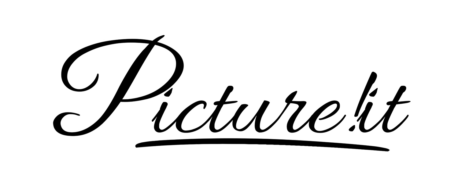 Picture!it Logo