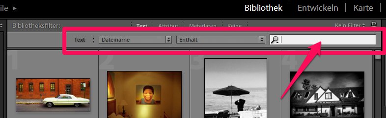 Dateiname in Lightroom eingeben